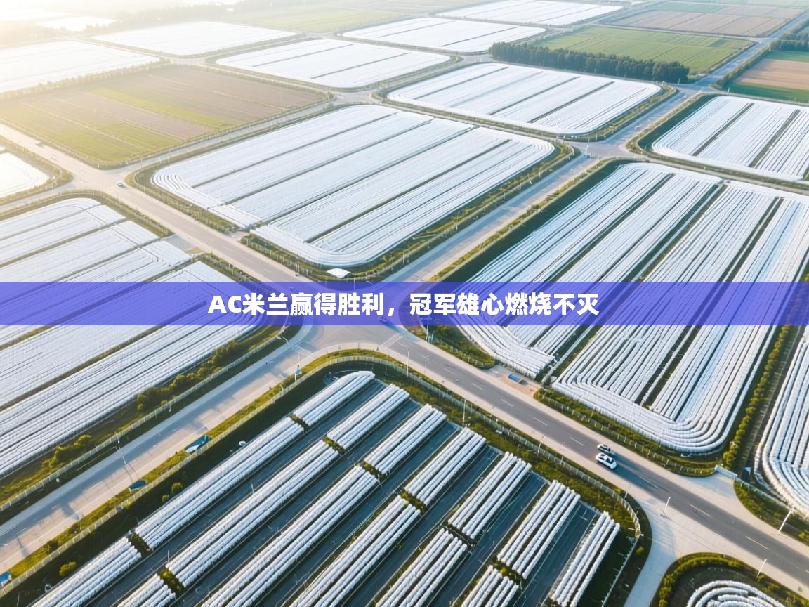 AC米兰赢得胜利,冠军雄心燃烧不灭 第2张