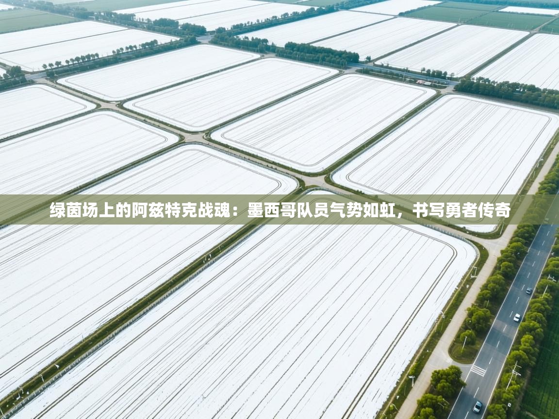 绿茵场上的阿兹特克战魂:墨西哥队员气势如虹,书写勇者传奇 第1张