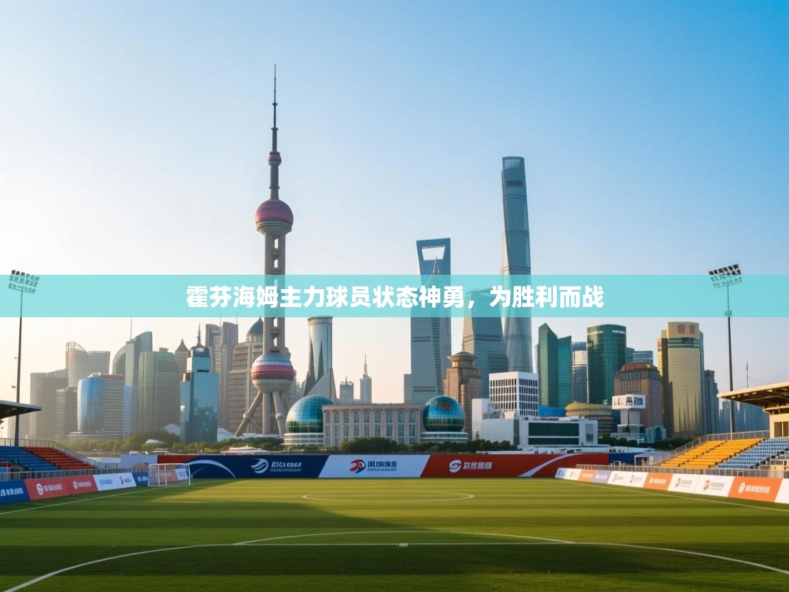 霍芬海姆主力球员状态神勇，为胜利而战  第1张