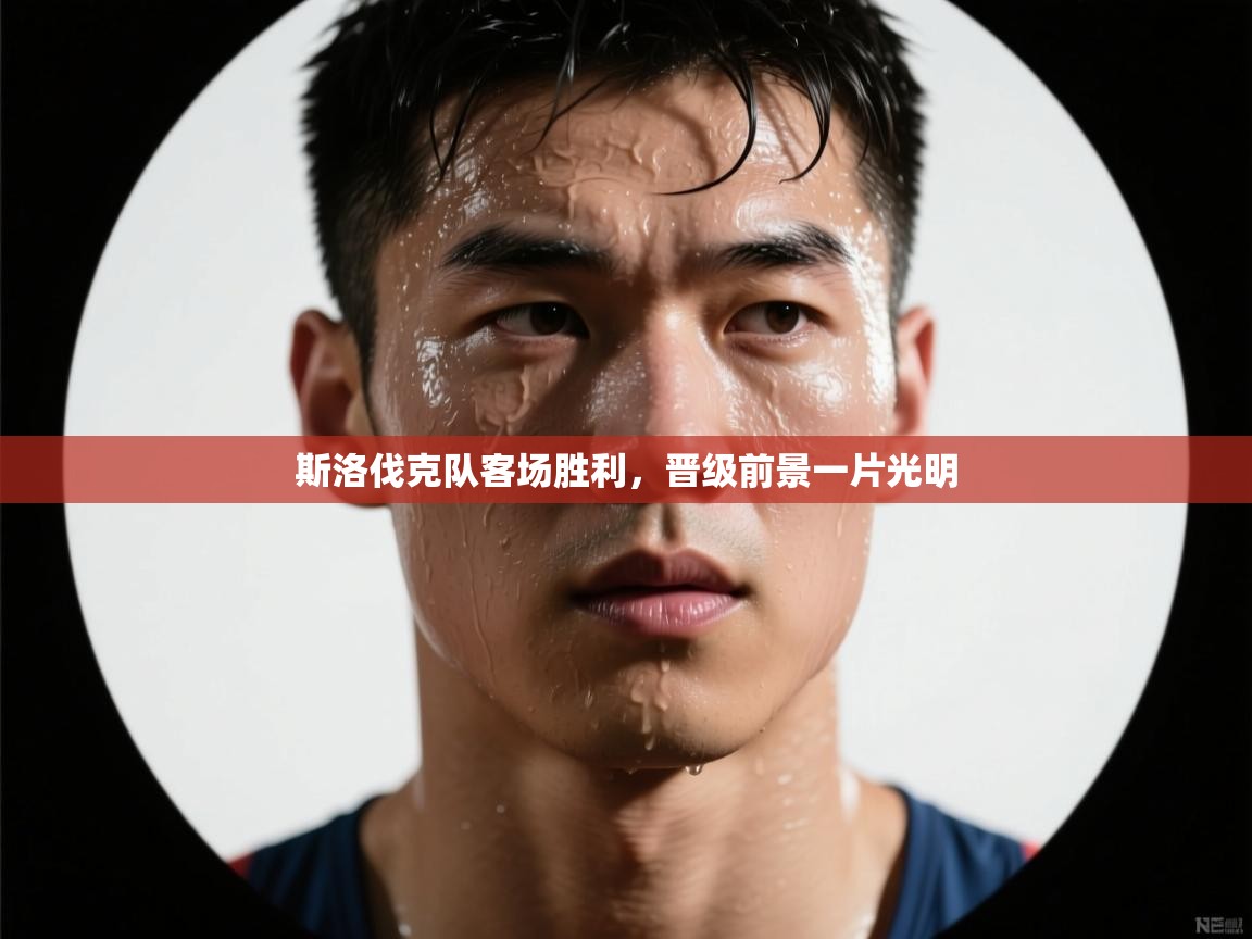 斯洛伐克队客场胜利，晋级前景一片光明  第1张