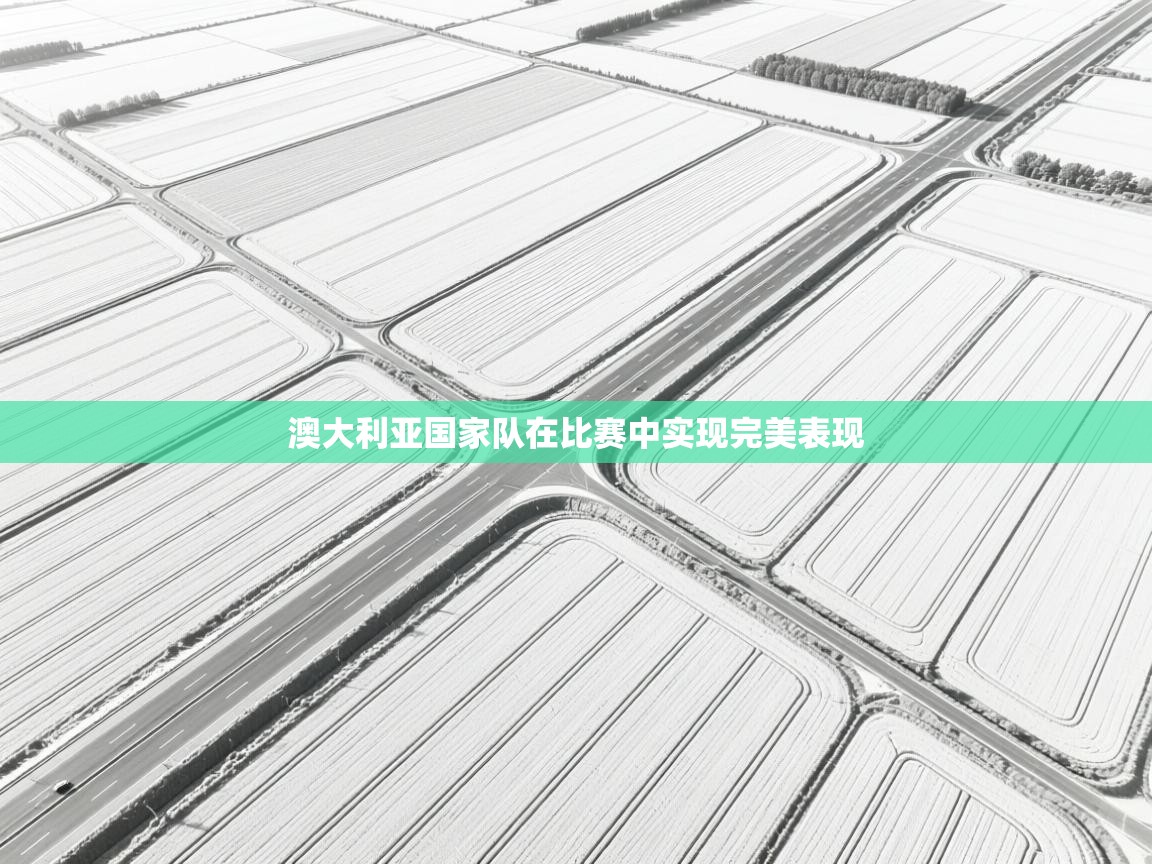 澳大利亚国家队在比赛中实现完美表现  第1张