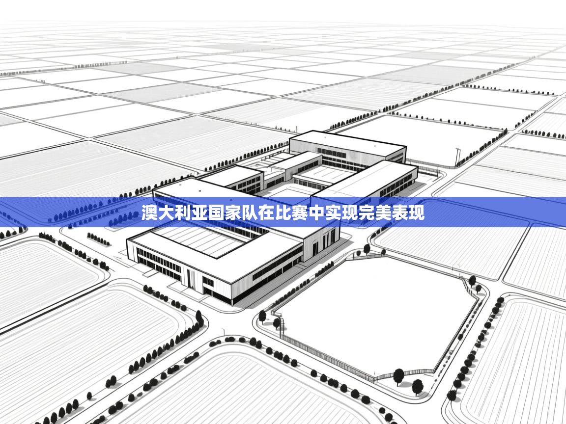 澳大利亚国家队在比赛中实现完美表现  第2张