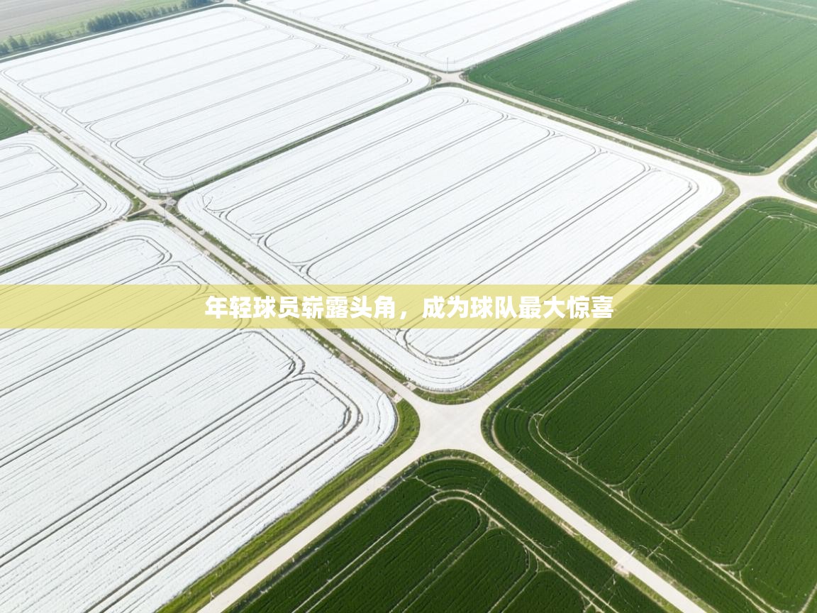 年轻球员崭露头角,成为球队最大惊喜 第2张